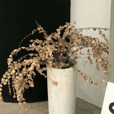 Furry插画色彩解析福瑞群